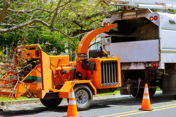 Landscape Design and Installation in Drexel Hill, PA